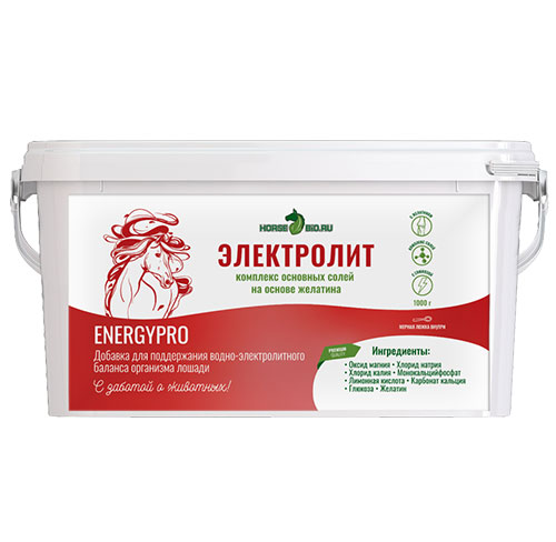 ЭЛЕКТРОЛИТ EnergyPro, 1000г