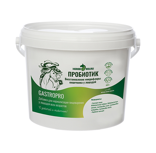 ПРОБИОТИК GastroPro, 800г